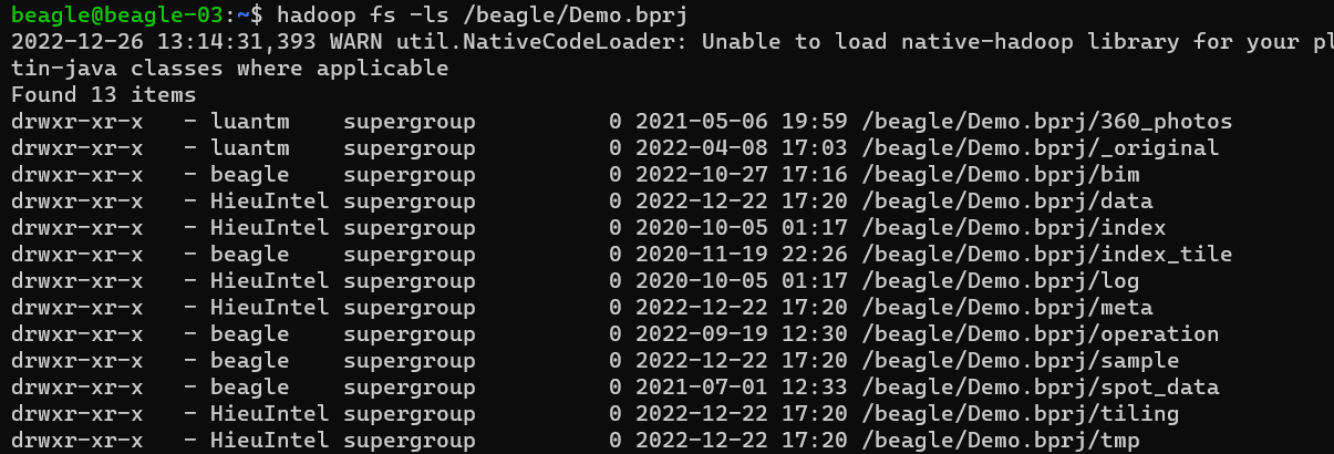 beagle project structure